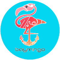 Beach Area Businesses Baymingo boat rentals and tours in Fort Lauderdale in Fort Lauderdale FL